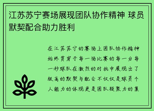 江苏苏宁赛场展现团队协作精神 球员默契配合助力胜利