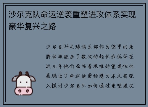 沙尔克队命运逆袭重塑进攻体系实现豪华复兴之路