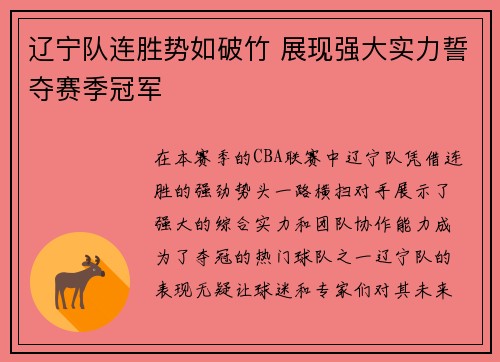 辽宁队连胜势如破竹 展现强大实力誓夺赛季冠军