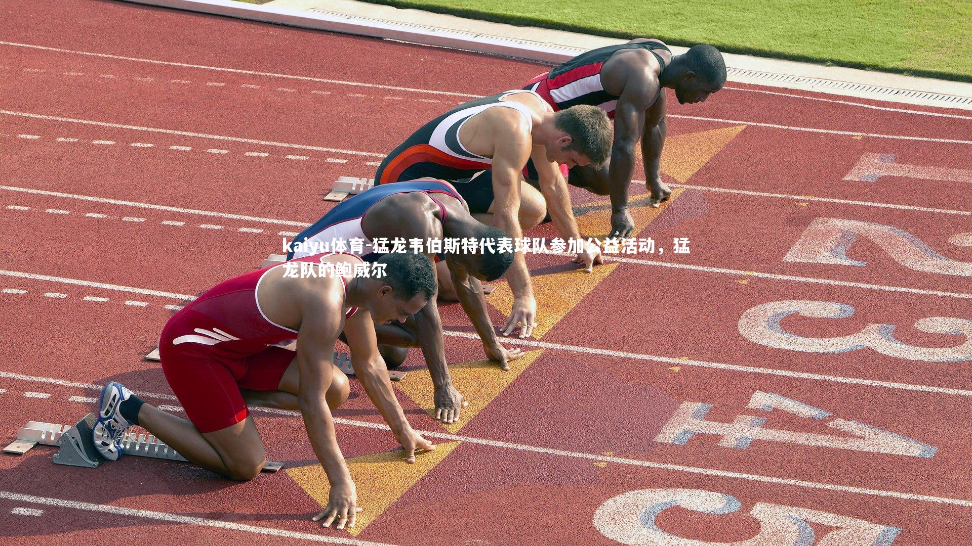 猛龙韦伯斯特代表球队参加公益活动，猛龙队的鲍威尔